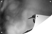 Tuindecoratie IJsvogel fotoprint - zwart wit - 60x40 cm - Tuinposter - Tuindoek - Buitenposter