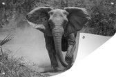 Tuindecoratie Rennende olifant - zwart wit - 60x40 cm - Tuinposter - Tuindoek - Buitenposter