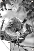 Tuindecoratie Koala - Takken - Slapen - Kinderen - Jongens - Meiden - 40x60 cm - Tuinposter - Tuindoek - Buitenposter