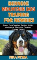 Bernese Mountain Dog Training for Newbies