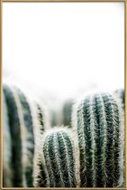 JUNIQE - Poster met kunststof lijst Cactus 1 -13x18 /Groen & Wit