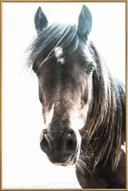 JUNIQE - Poster met kunststof lijst Horse -30x45 /Bruin & Ivoor