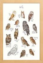JUNIQE - Poster in houten lijst Uilen illustratie -40x60 /Bruin & Wit