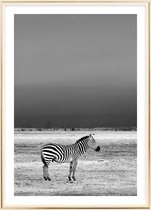 Poster Met Metaal Gouden Lijst - Wilde Zebra Poster
