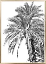 Poster Met Metaal Gouden Lijst - Oman de Palm Poster