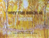 Why The Birch Is White