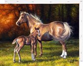 Schilderen op Nummer Paarden 40x50 met Frame Volwassenen Kinderen - Kleuren op Nummer - Paint by Number - Hobbypainting.nl®