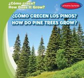 ?Como Crecen Los Pinos? / How Do Pine Trees Grow?