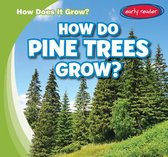 How Does It Grow?- How Do Pine Trees Grow?
