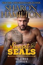 Sunset Seals- Sunset SEALs