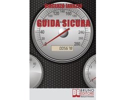 Guida Sicura