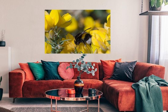 Abeille sur une fleur de balai 120x80 cm