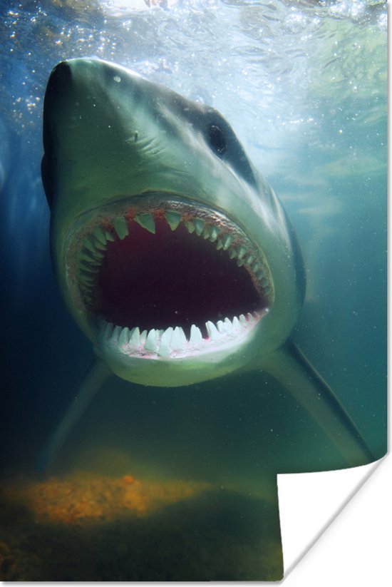 Requin à bouche ouverte dans l'eau trouble 20x30 cm - petit