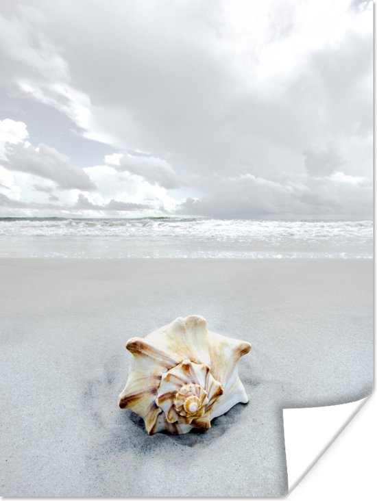 Schelp op een wit strand poster 60x80 cm - Foto print op Poster (wanddecoratie woonkamer / slaapkamer) / Strand Poster