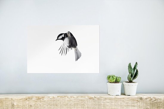 Poster Vogel - Ressorts - Zwart - Wit - 30x20 cm