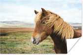 Bruin IJslands paard bij een berglandschap poster papier 120x80 cm - Foto print op Poster (wanddecoratie woonkamer / slaapkamer) / Wilde dieren Poster