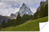 Poster De Zwitserse Matterhorn achter een dennenbos - 30x20 cm
