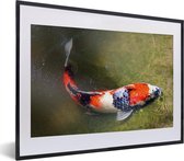 Fotolijst incl. Poster - Een koi karper op de bodem van een vijver - 40x30 cm - Posterlijst