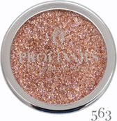 Profinails – Cosmetic Glitter – glitterpoeder – No. 563