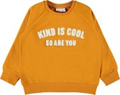 NAME IT NMFLAKIND SWEAT UNB BOX Meisjes Trui - Maat 98