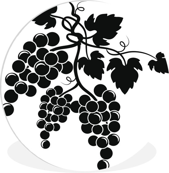 Une illustration de raisins noirs sur la vigne Assiette en plastique cercle  mural ⌀... | bol.com