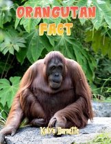 Orangutan Fact