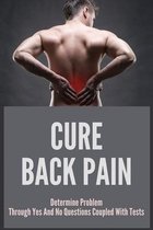 Cure Back Pain: Determine Problem Through Yes And No Questions Coupled With Tests