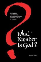 SUNY series in Western Esoteric Traditions- What Number Is God?