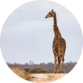 Muursticker Giraffe Ø 130 cm
