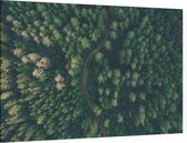Droneshot van een bos - Foto op Canvas - 45 x 30 cm
