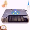 Slimme Broedmachine voor eieren - automatische rolsysteem met geïntegreerd schouwlamp - incl accessoires - waterflesje met spitse tuit