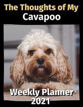 The Thoughts of My Cavapoo