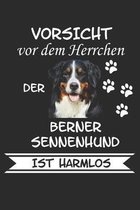 Vorsicht vor dem Herrchen der Berner Sennenhund ist Harmlos