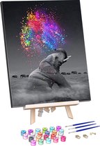 Rubye® Schilderen Op Nummer Volwassenen – Kleurrijke Olifant – Met Frame en Schildersezel – 40x50 cm