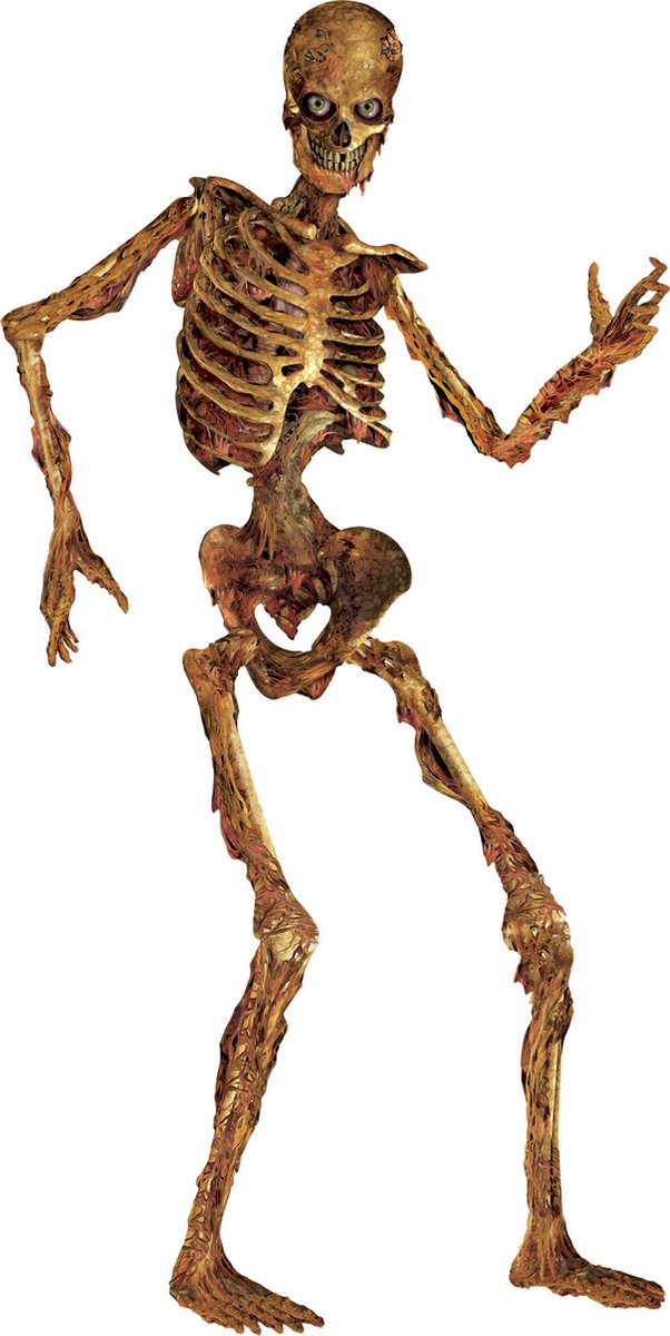 Evaluatie alleen Grote waanidee Halloween decoratie van skelet 180 cm - Feestdecoratievoorwerp - One size"  | bol.com