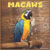 Macaws 2022 Calendar