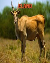 Eland