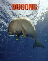 Dugong