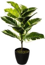 Kunstplant - Ficus - 55cm - 173019