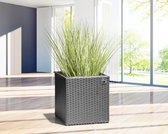 GoodVibes - Bloembak van Polyrattan 36 x 36 x 36 cm met Irrigatiesysteem, Grijs