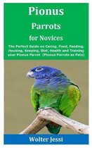 Pionus Parrots for Novices