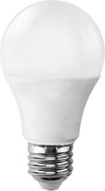 E27 LED lamp 15W 220V A65 - Koel wit licht - Overig - Wit - Wit Froid 6000k - 8000k - SILUMEN