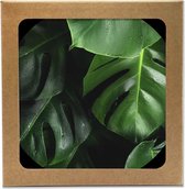 BONT | Onderzetters 6 stuks - Botanisch - Planten - Coffee - Koffie - Coasters - Forex onderzetters - Rond