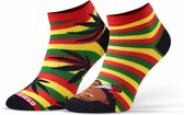 Sesto-Senso Grappige, Kleurrijke katoen enkelsokken, unisex, maat 39-42, Rasta patroon