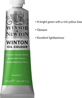 Couleur à l'huile Winton 37 ml Phtalo Yellow Vert 403