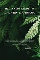 Beginners Guide to Growing Marijuana