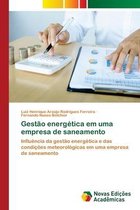 Gestão energética em uma empresa de saneamento