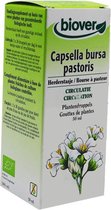 Capsella Bursa Pastor T Biover