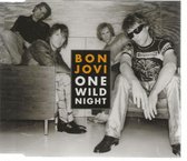 ONE WILD NIGHT 2001 - BON JOVI diff.