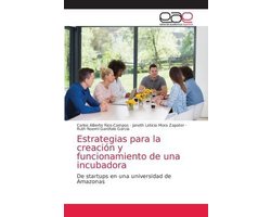 Estrategias para la creación y funcionamiento de una incubadora